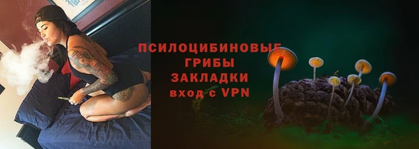 ECSTASY Абдулино