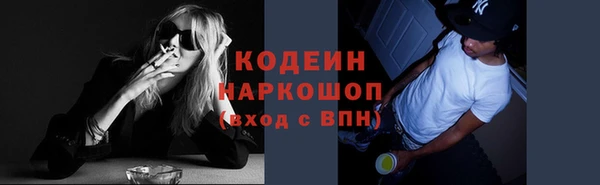 прущий лед Абаза