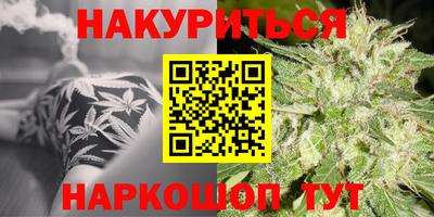 ALPHA PVP Гай