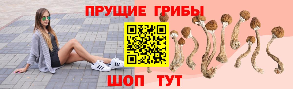 Псилоцибиновые грибы GOLDEN TEACHER  Галлюциногенные грибы Magic Shrooms  Вход с VPN  Октябрьский 
